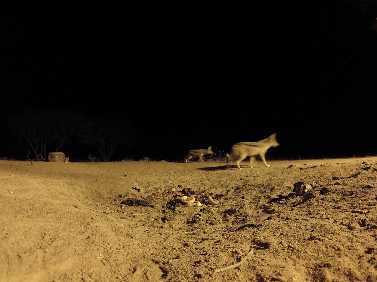 [3844] 2016_06_22_20_45_38_Africa_Hero3-Silver_Edition_IMG__00031.jpg