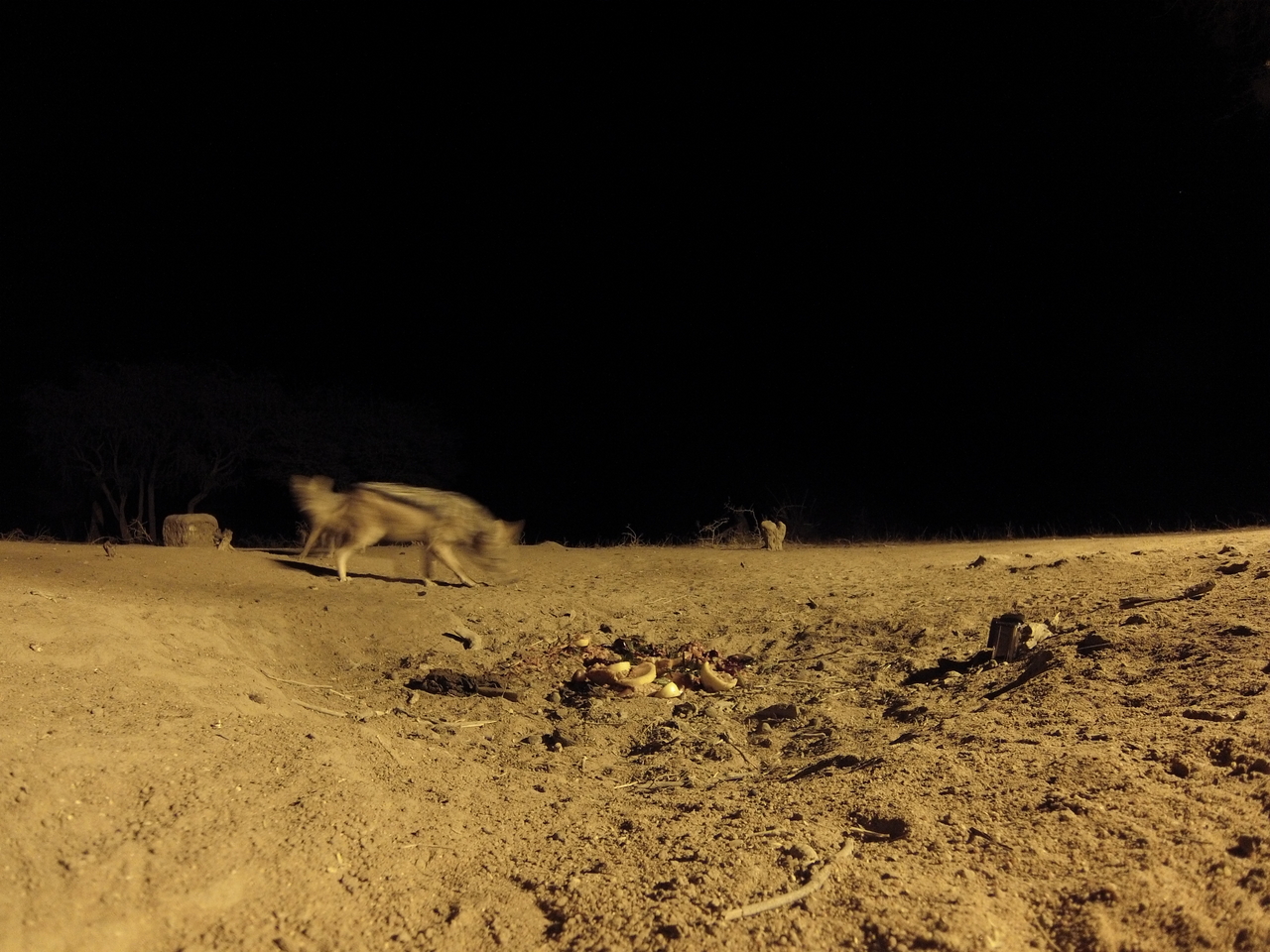 [3853] 2016_06_22_20_45_50_Africa_Hero3-Silver_Edition_IMG__00483.jpg