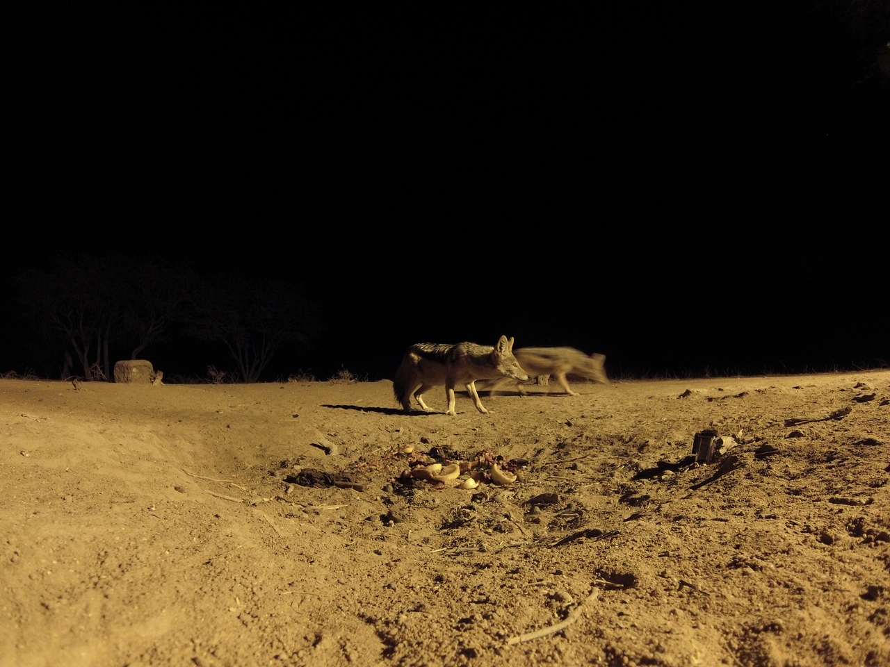 [3854] 2016_06_22_20_45_54_Africa_Hero3-Silver_Edition_IMG__00036.jpg