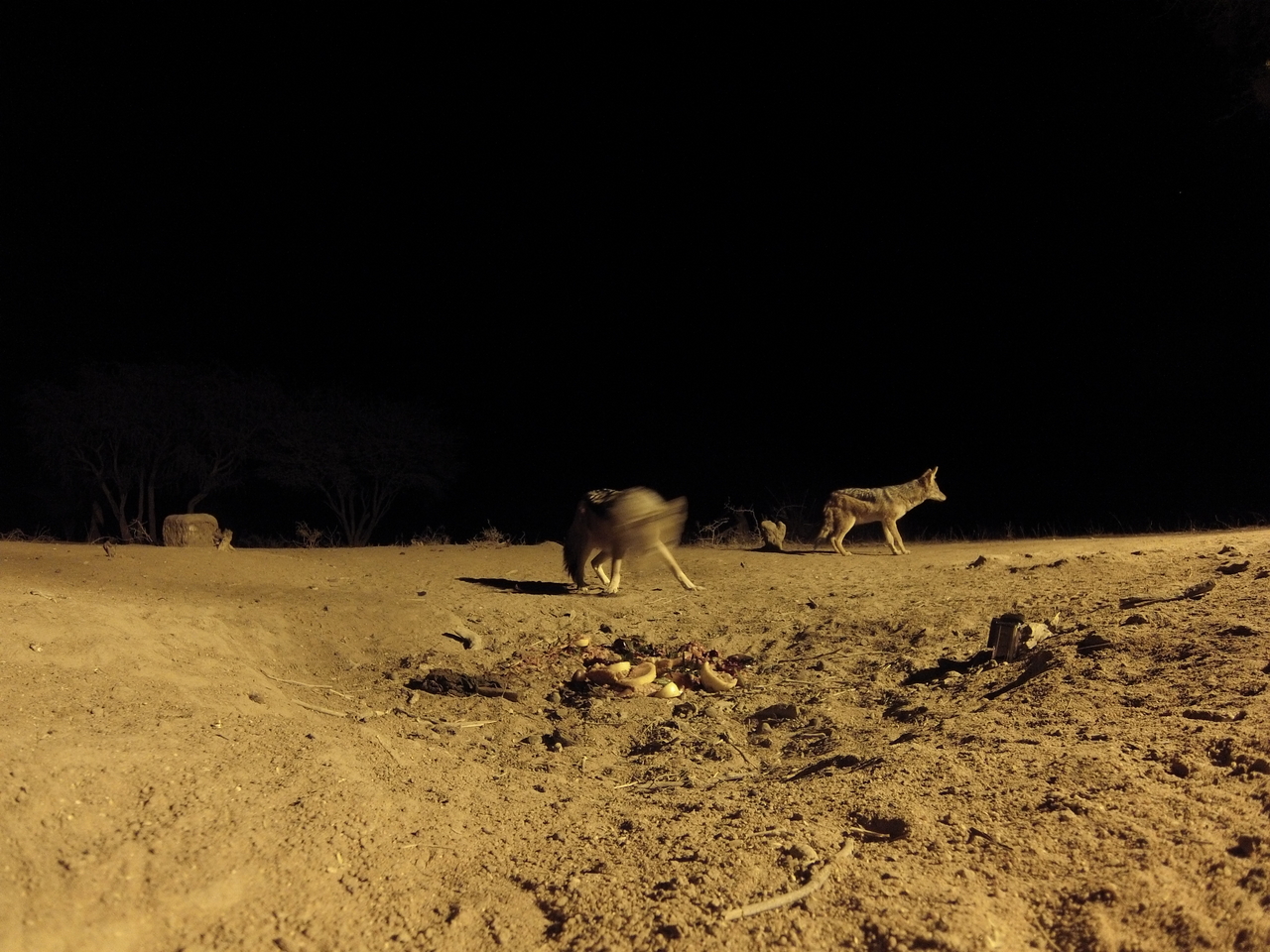 [3856] 2016_06_22_20_45_56_Africa_Hero3-Silver_Edition_IMG__00037.jpg