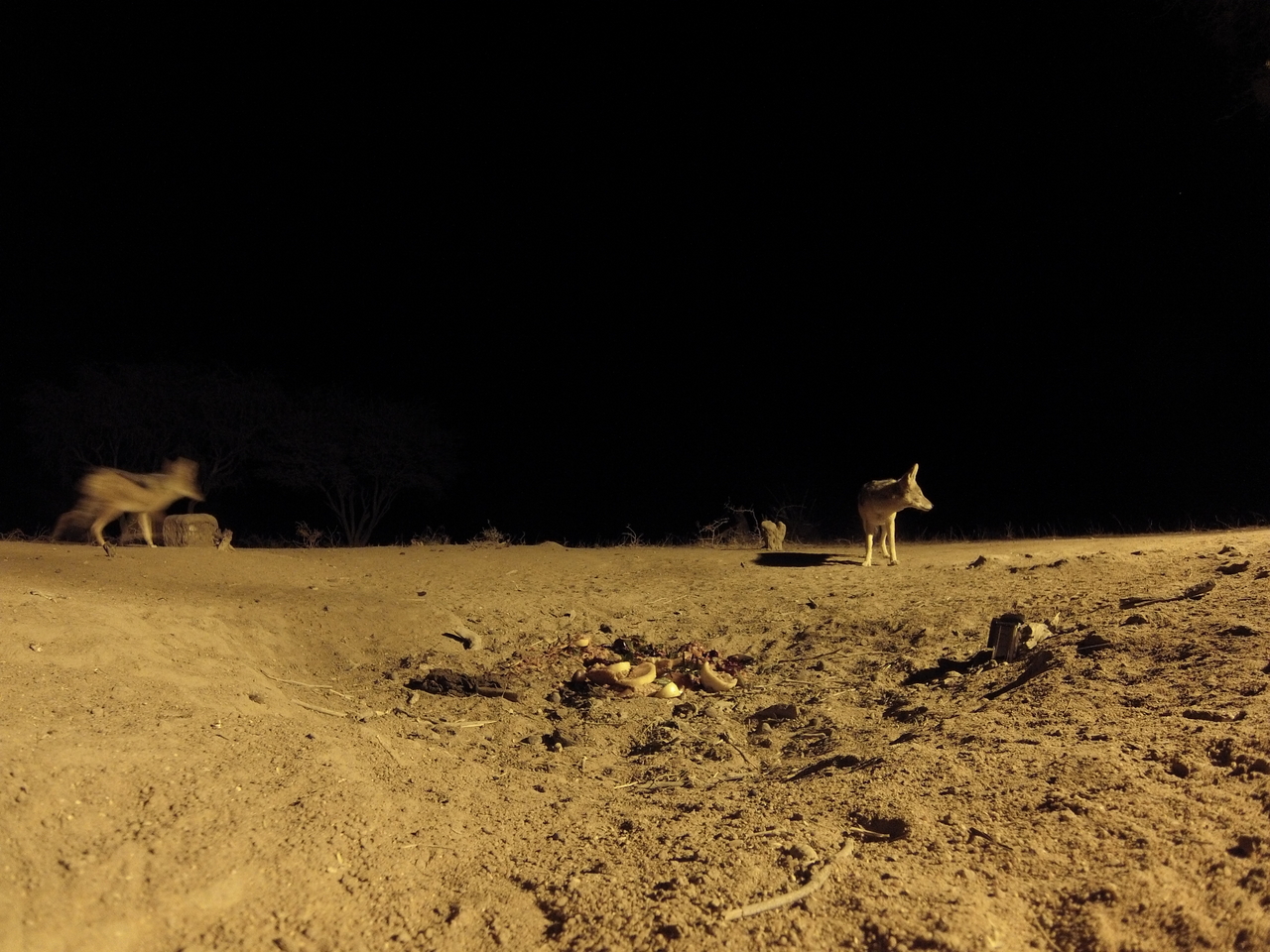 [3864] 2016_06_22_20_46_10_Africa_Hero3-Silver_Edition_IMG__00041.jpg