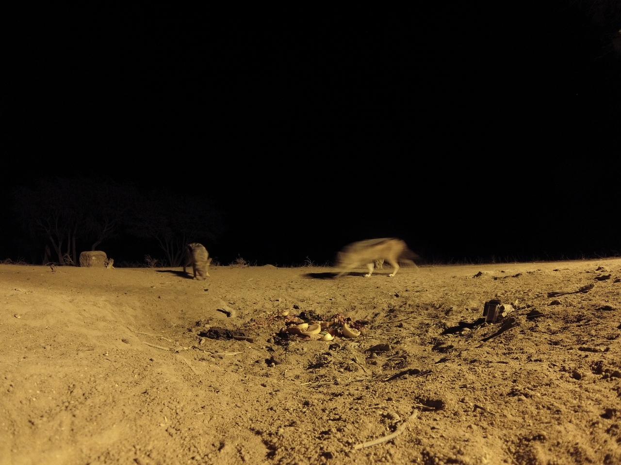 [3867] 2016_06_22_20_46_12_Africa_Hero3-Silver_Edition_IMG__00490.jpg