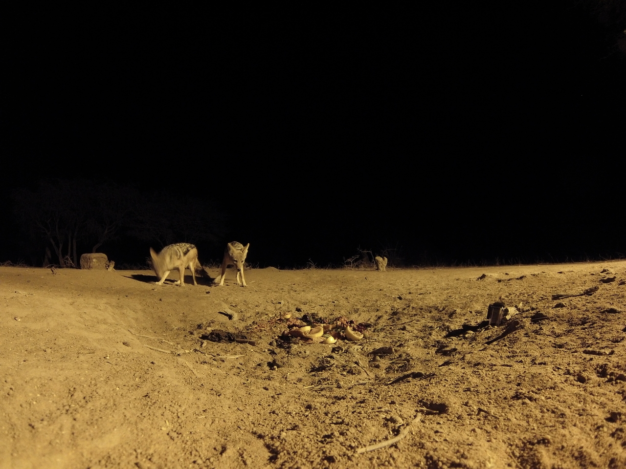 [3868] 2016_06_22_20_46_16_Africa_Hero3-Silver_Edition_IMG__00043.jpg