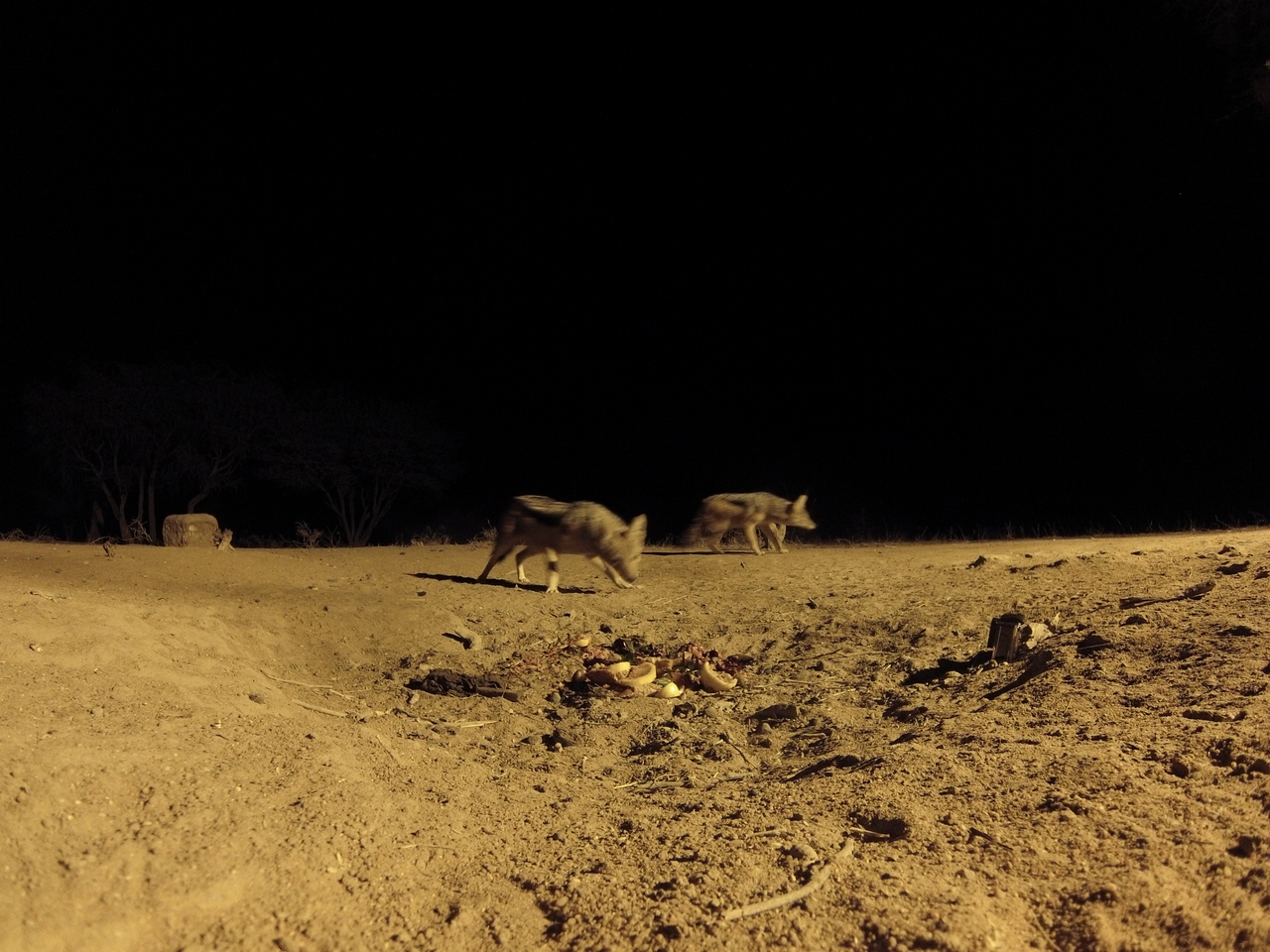 [3871] 2016_06_22_20_46_20_Africa_Hero3-Silver_Edition_IMG__00492.jpg