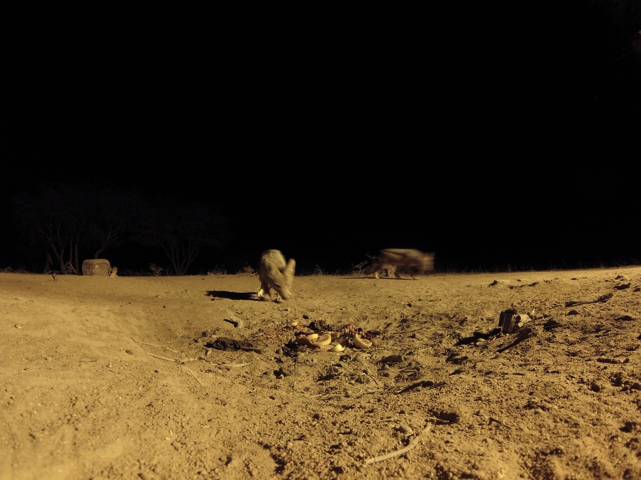 [3873] 2016_06_22_20_46_22_Africa_Hero3-Silver_Edition_IMG__00493.jpg