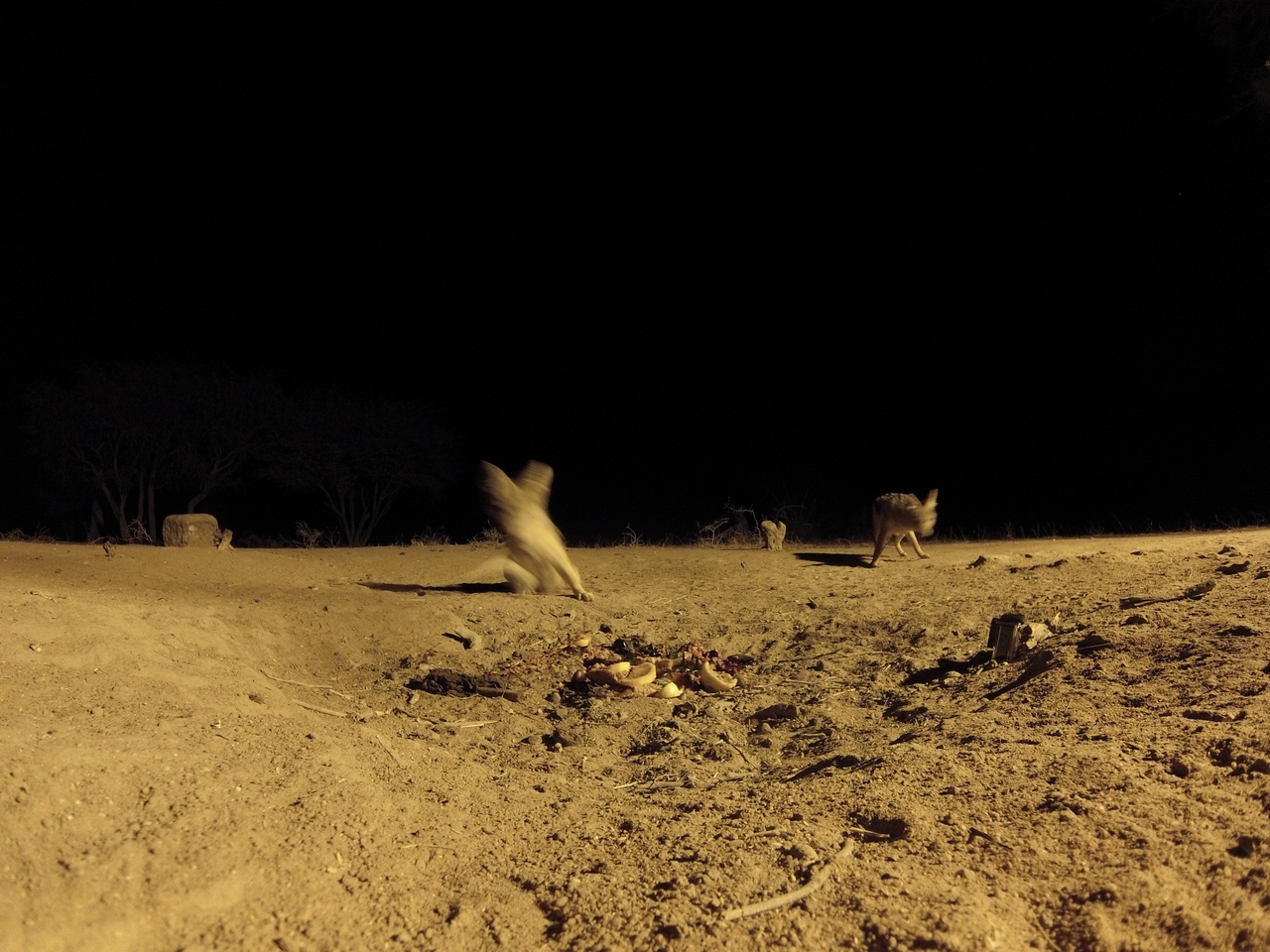 [3875] 2016_06_22_20_46_26_Africa_Hero3-Silver_Edition_IMG__00494.jpg