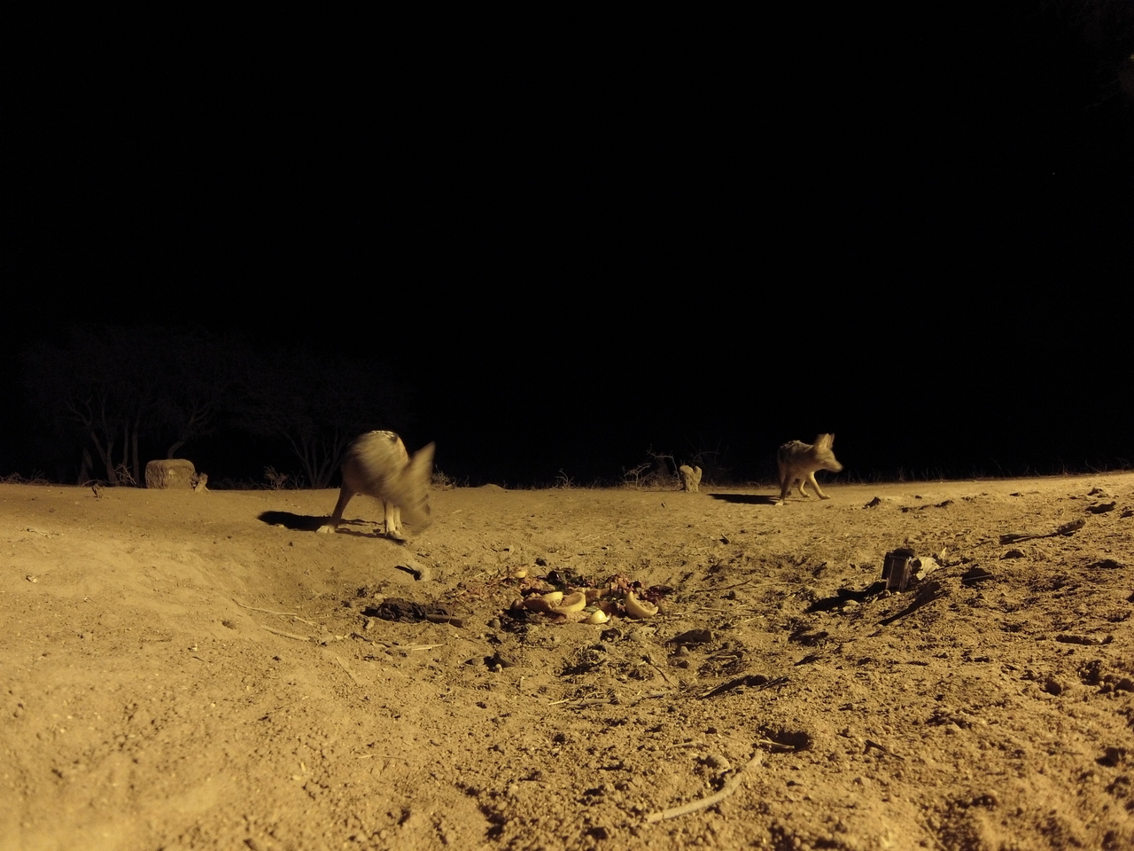 [3877] 2016_06_22_20_46_28_Africa_Hero3-Silver_Edition_IMG__00495.jpg