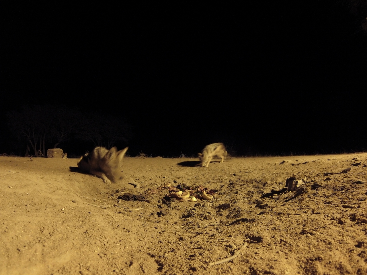 [3881] 2016_06_22_20_46_34_Africa_Hero3-Silver_Edition_IMG__00497.jpg