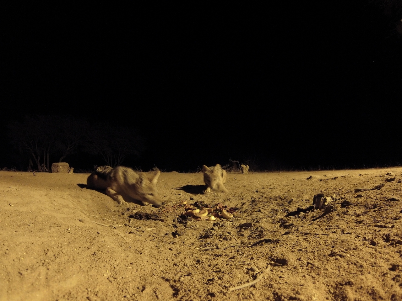 [3882] 2016_06_22_20_46_38_Africa_Hero3-Silver_Edition_IMG__00050.jpg