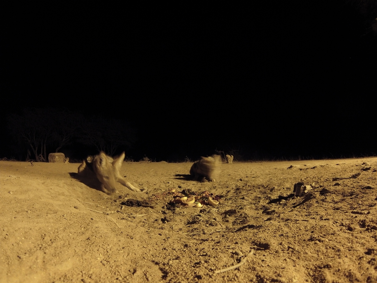 [3885] 2016_06_22_20_46_40_Africa_Hero3-Silver_Edition_IMG__00499.jpg