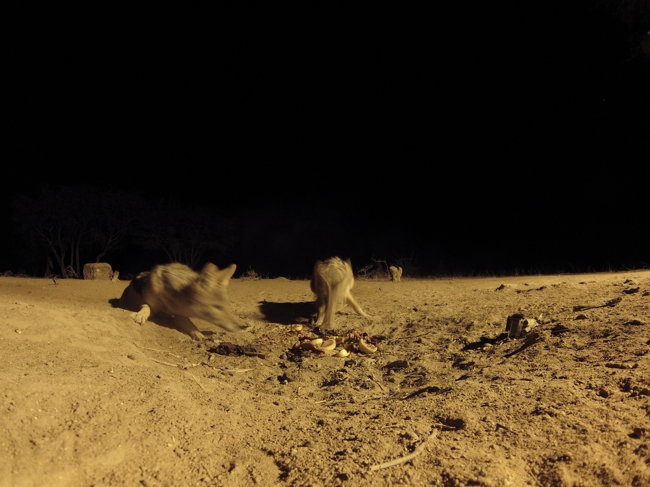 [3887] 2016_06_22_20_46_44_Africa_Hero3-Silver_Edition_IMG__00500.jpg