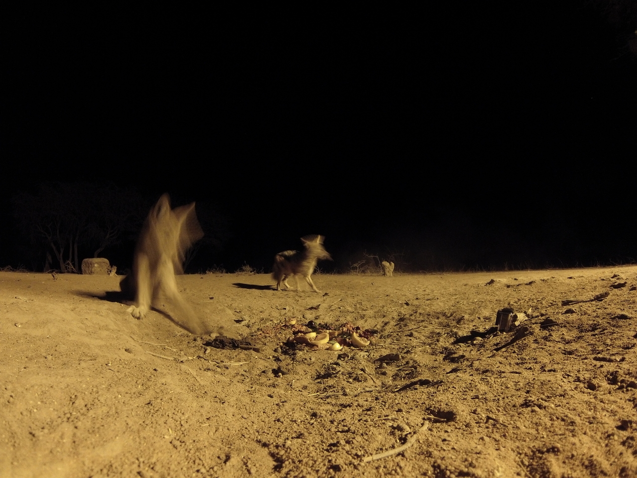 [3888] 2016_06_22_20_46_48_Africa_Hero3-Silver_Edition_IMG__00053.jpg