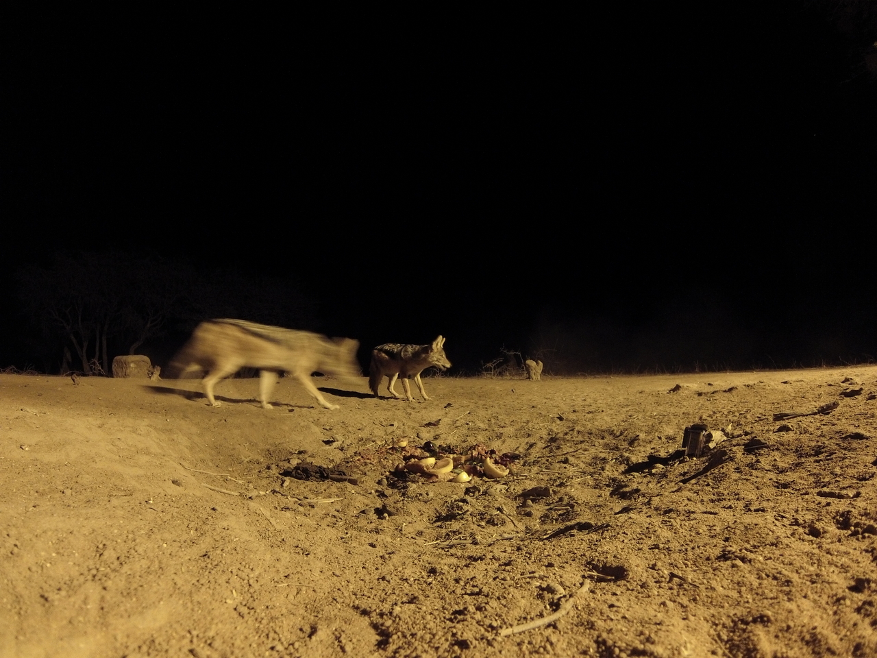 [3891] 2016_06_22_20_46_50_Africa_Hero3-Silver_Edition_IMG__00502.jpg