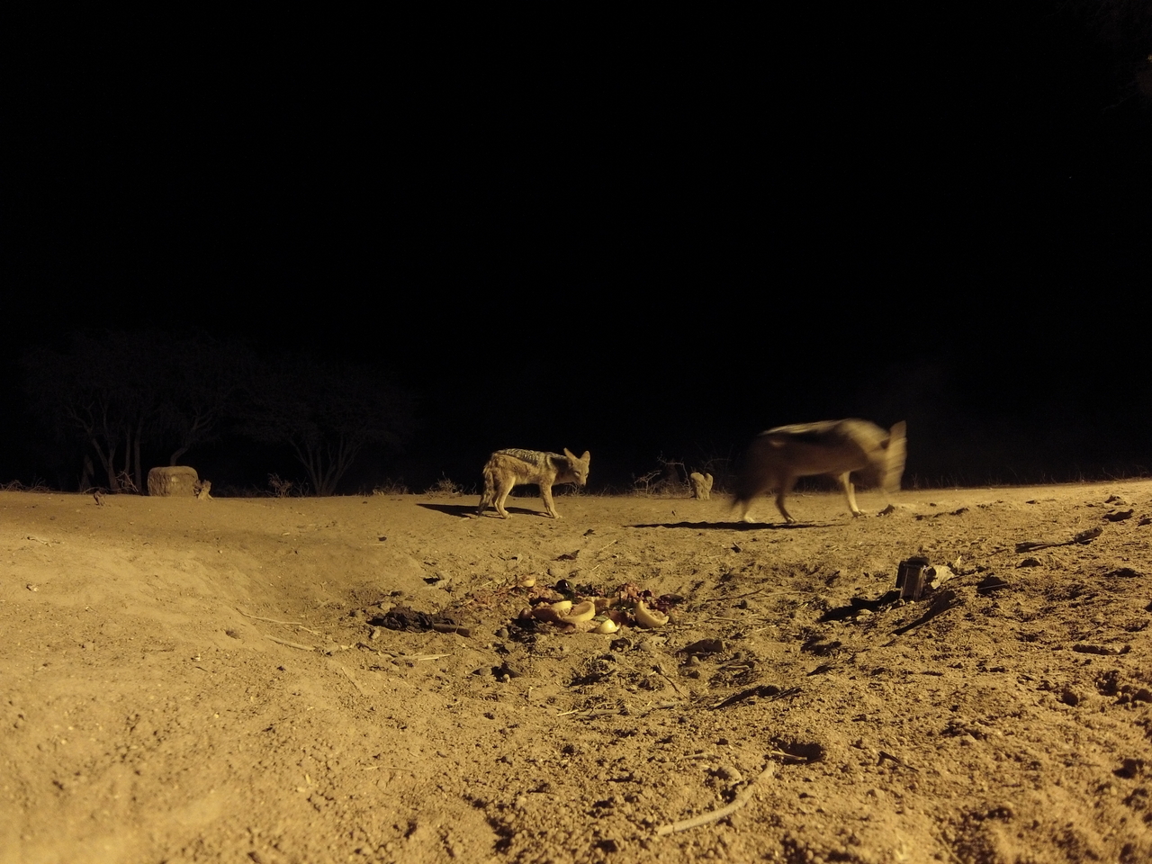 [3893] 2016_06_22_20_46_54_Africa_Hero3-Silver_Edition_IMG__00503.jpg