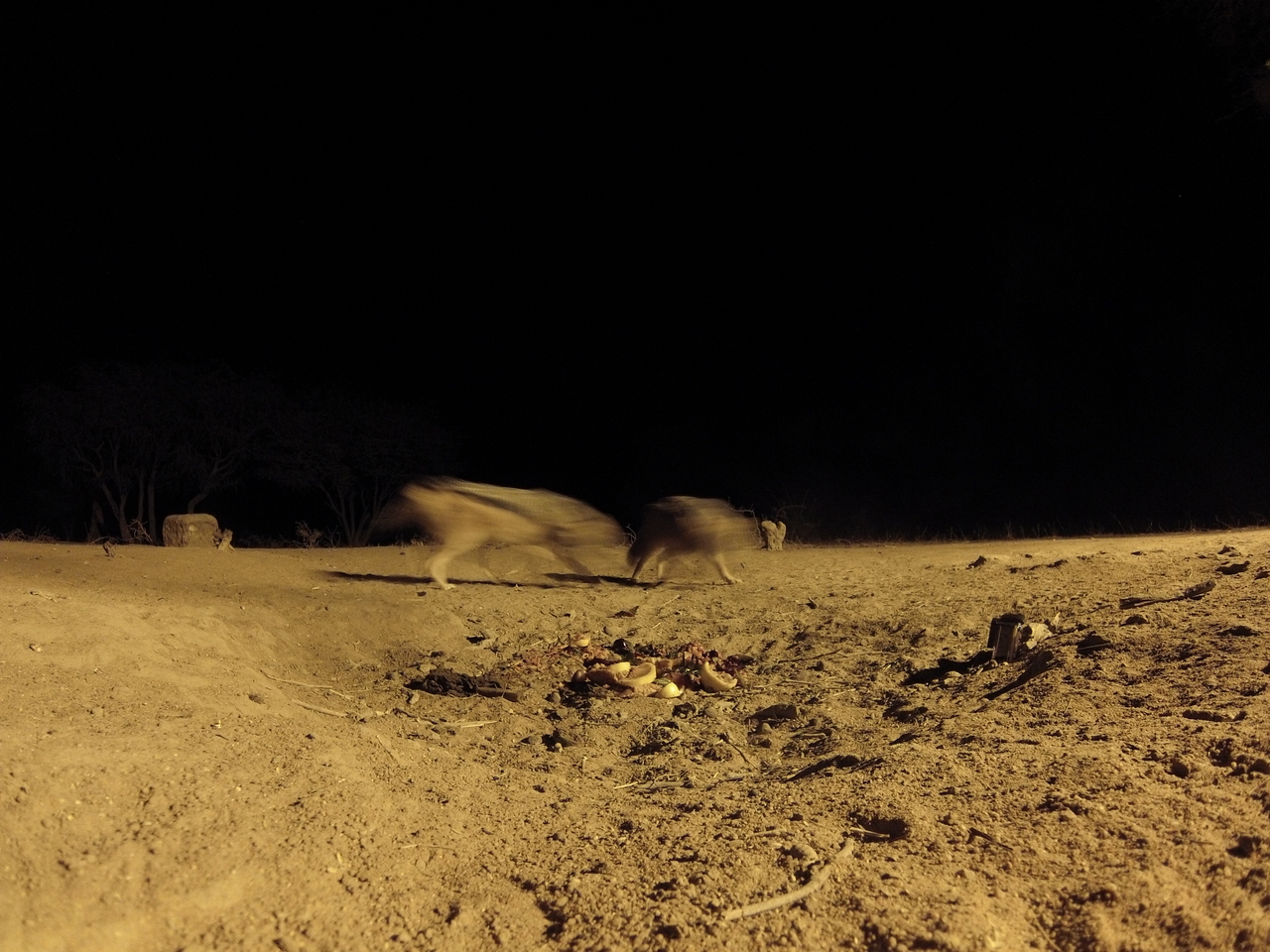 [3896] 2016_06_22_20_47_02_Africa_Hero3-Silver_Edition_IMG__00057.jpg