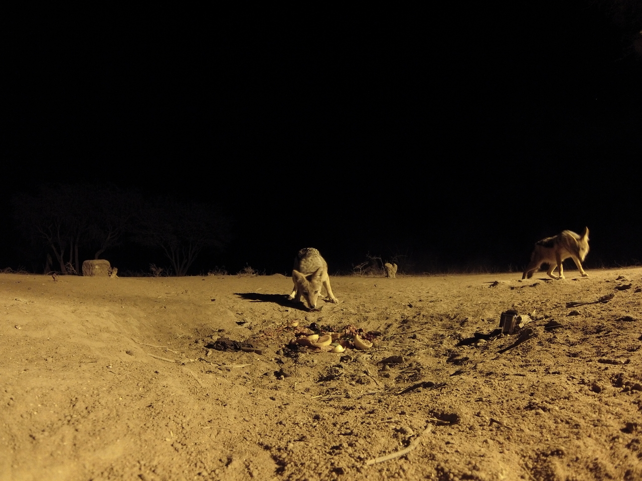 [3901] 2016_06_22_20_47_06_Africa_Hero3-Silver_Edition_IMG__00507.jpg