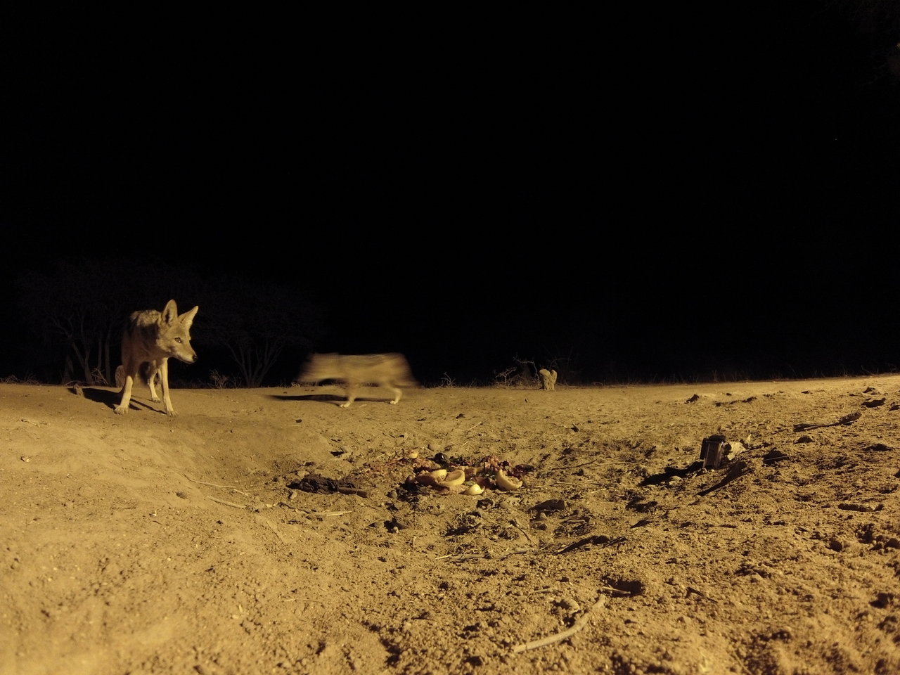 [3904] 2016_06_22_20_47_12_Africa_Hero3-Silver_Edition_IMG__00061.jpg