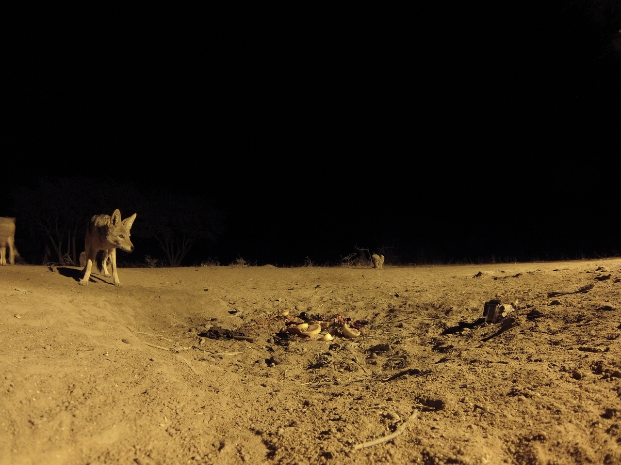 [3907] 2016_06_22_20_47_16_Africa_Hero3-Silver_Edition_IMG__00510.jpg