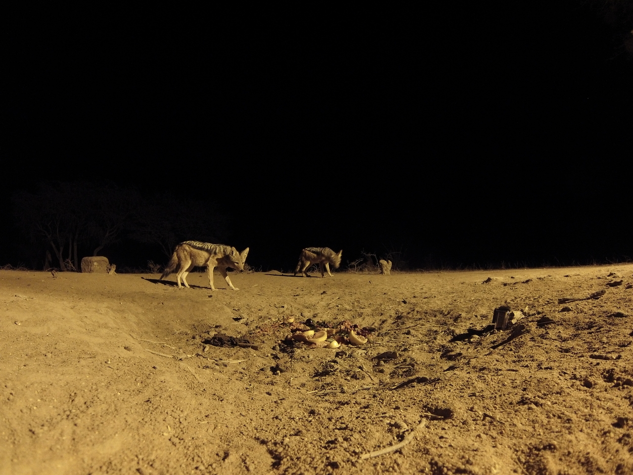 [3911] 2016_06_22_20_47_22_Africa_Hero3-Silver_Edition_IMG__00512.jpg