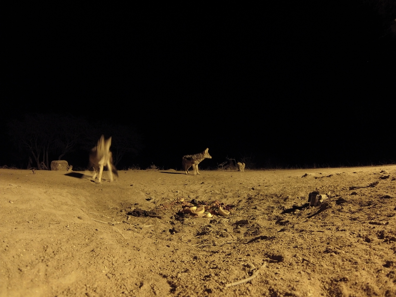 [3912] 2016_06_22_20_47_26_Africa_Hero3-Silver_Edition_IMG__00065.jpg