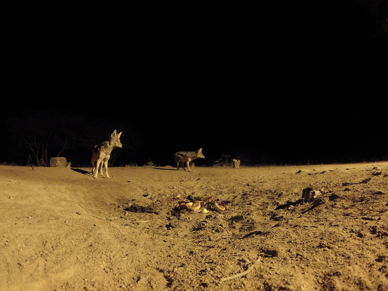 [3914] 2016_06_22_20_47_30_Africa_Hero3-Silver_Edition_IMG__00066.jpg