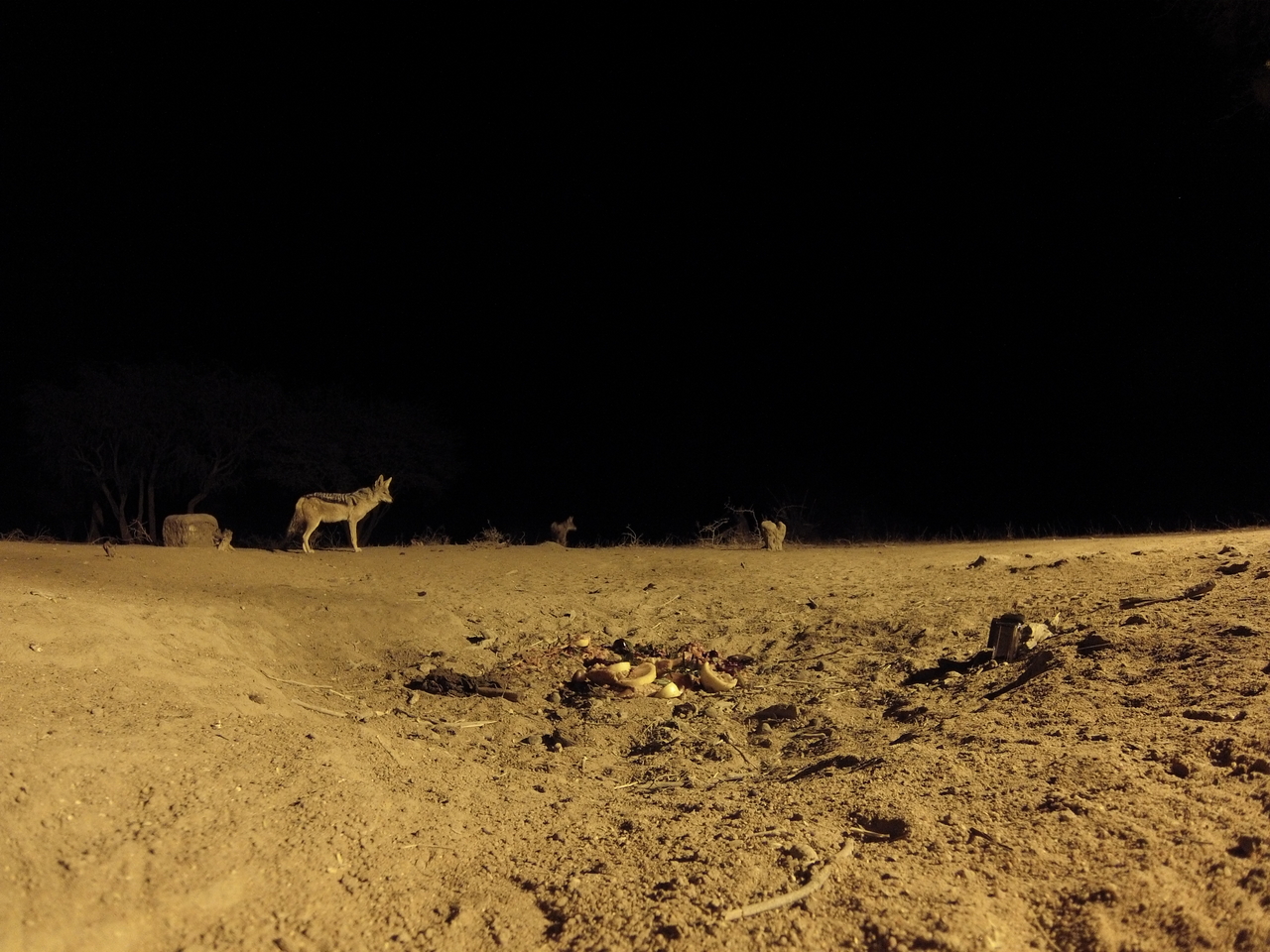 [3916] 2016_06_22_20_47_34_Africa_Hero3-Silver_Edition_IMG__00067.jpg