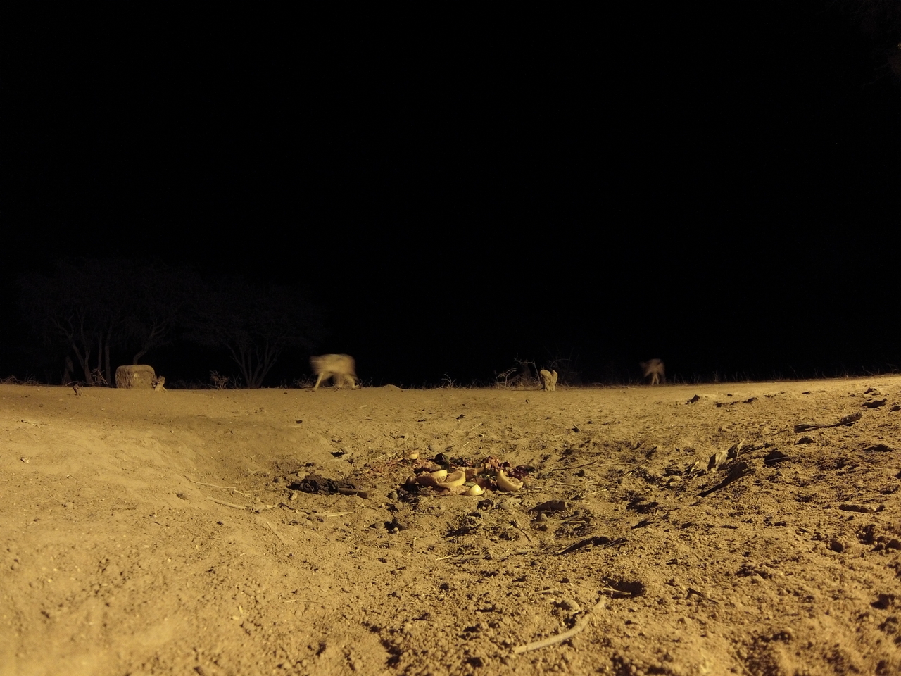 [3972] 2016_06_22_20_49_04_Africa_Hero3-Silver_Edition_IMG__00095.jpg