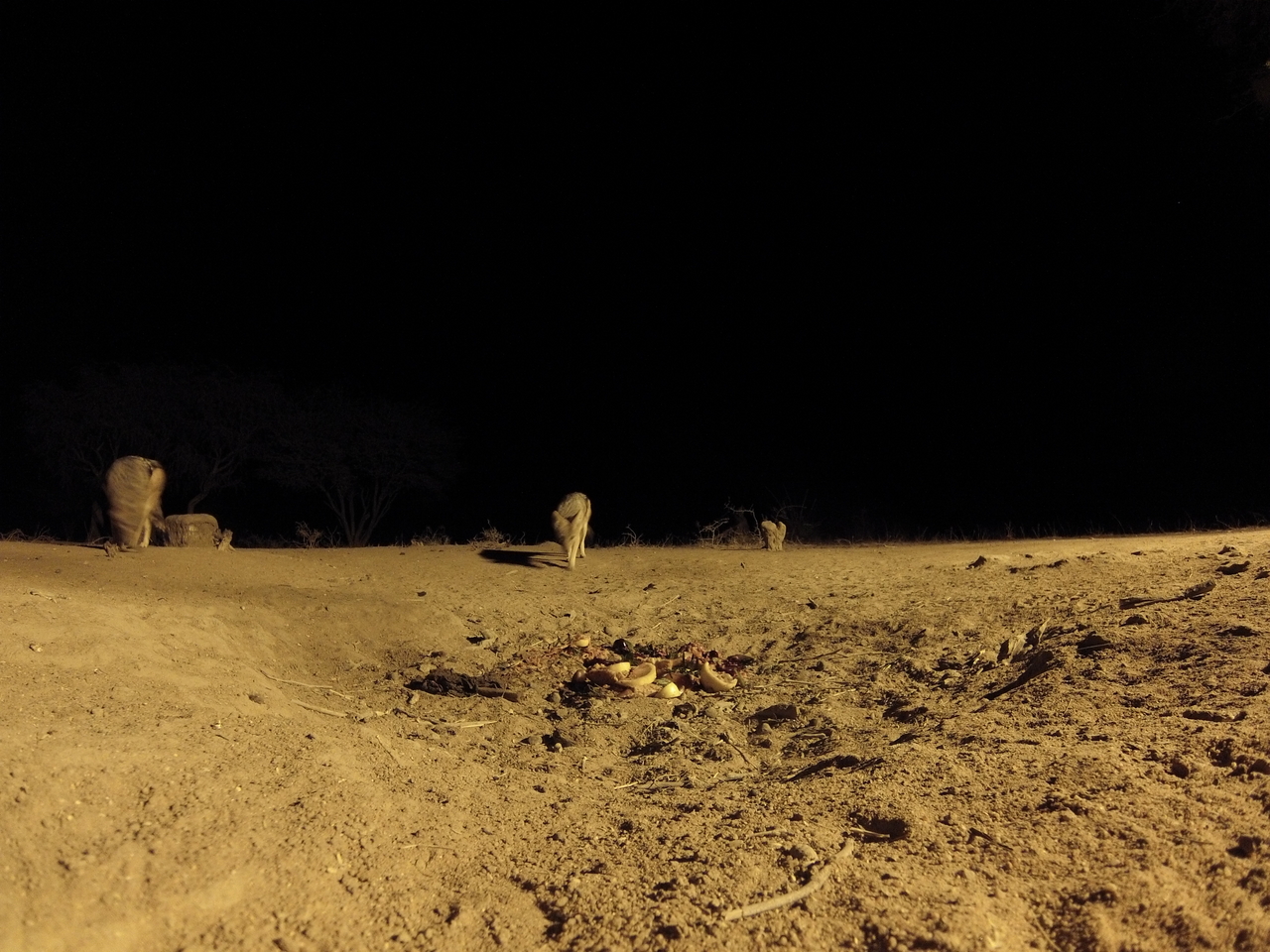 [3974] 2016_06_22_20_49_08_Africa_Hero3-Silver_Edition_IMG__00096.jpg