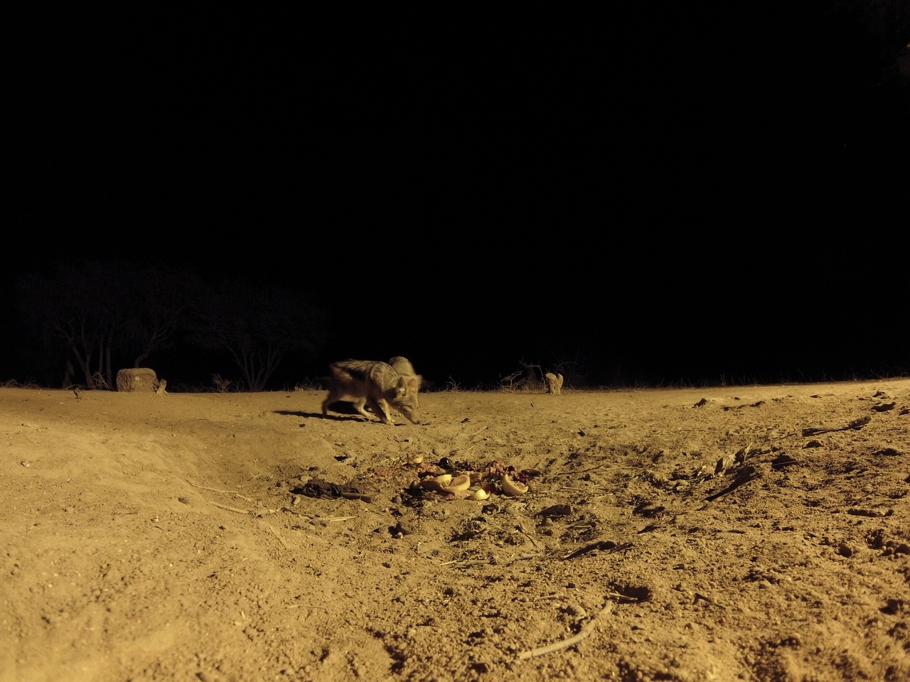 [3976] 2016_06_22_20_49_12_Africa_Hero3-Silver_Edition_IMG__00097.jpg