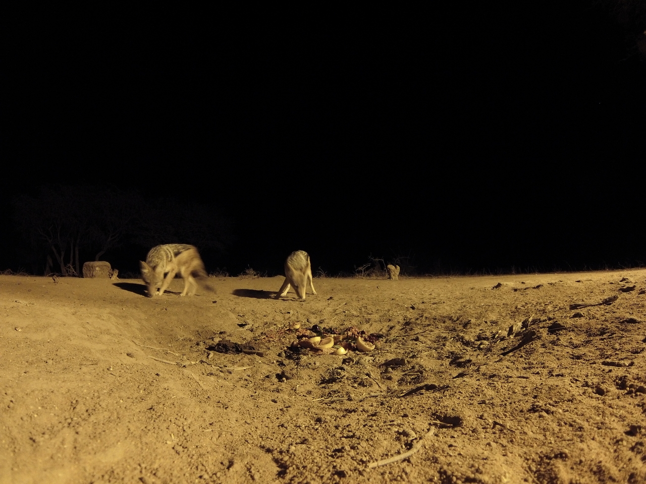 [3978] 2016_06_22_20_49_14_Africa_Hero3-Silver_Edition_IMG__00098.jpg