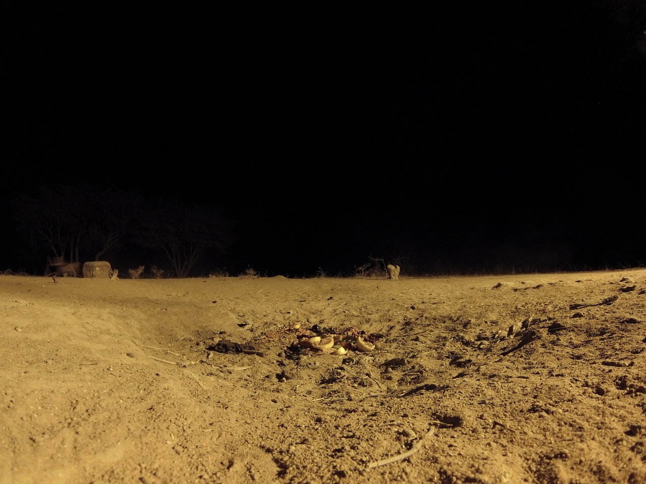 [3982] 2016_06_22_20_49_22_Africa_Hero3-Silver_Edition_IMG__00100.jpg