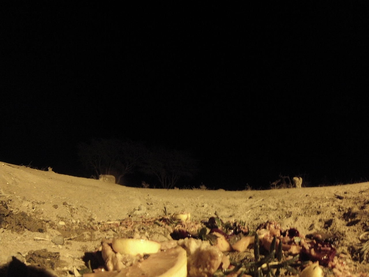 [3990] 2016_06_22_20_49_35_Africa_Hero3-Silver_Edition_IMG__00104.jpg