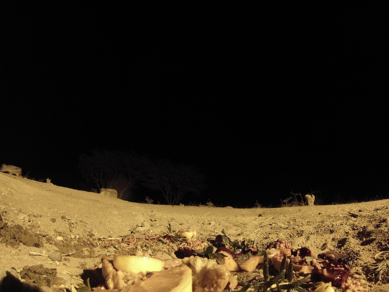 [4007] 2016_06_22_20_49_57_Africa_Hero3-Silver_Edition_IMG__00560.jpg