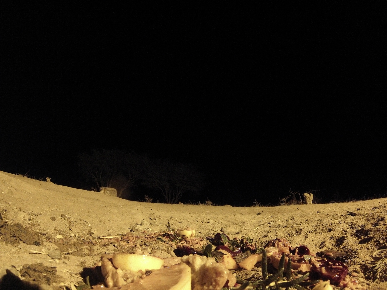 [4009] 2016_06_22_20_50_00_Africa_Hero3-Silver_Edition_IMG__00561.jpg