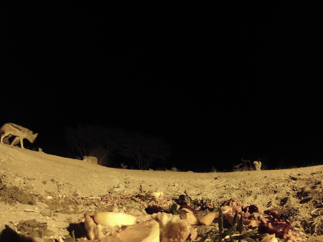 [4010] 2016_06_22_20_50_01_Africa_Hero3-Silver_Edition_IMG__00114.jpg