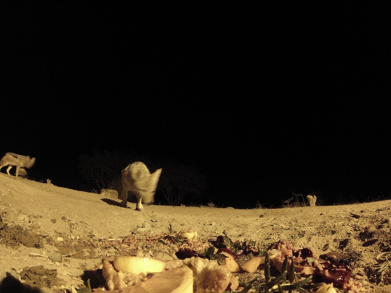 [4014] 2016_06_22_20_50_07_Africa_Hero3-Silver_Edition_IMG__00116.jpg