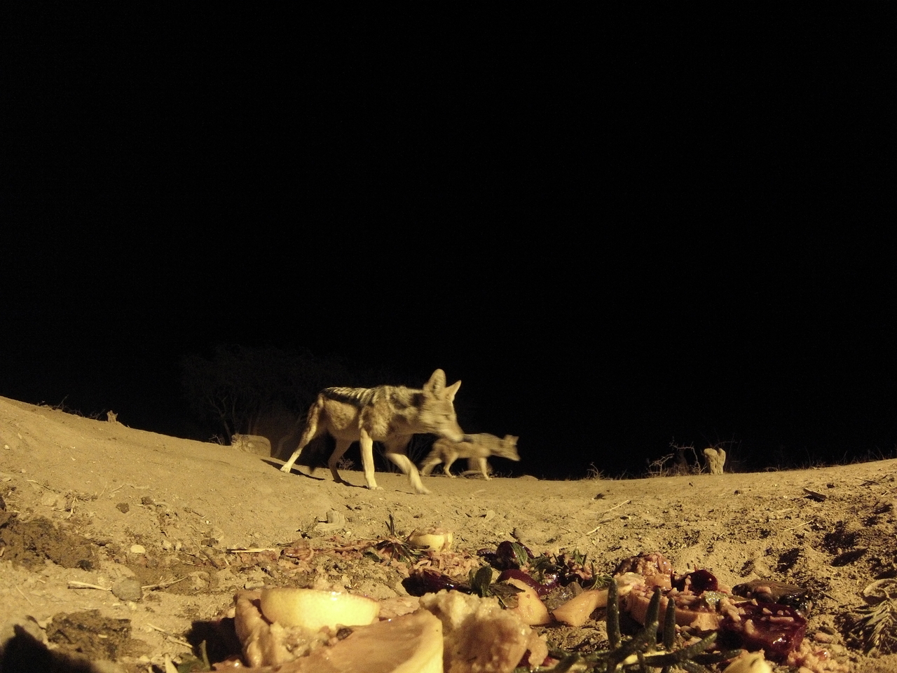 [4018] 2016_06_22_20_50_11_Africa_Hero3-Silver_Edition_IMG__00118.jpg