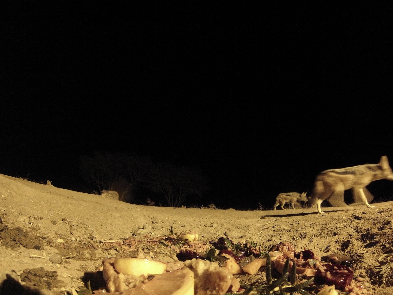 [4022] 2016_06_22_20_50_17_Africa_Hero3-Silver_Edition_IMG__00120.jpg