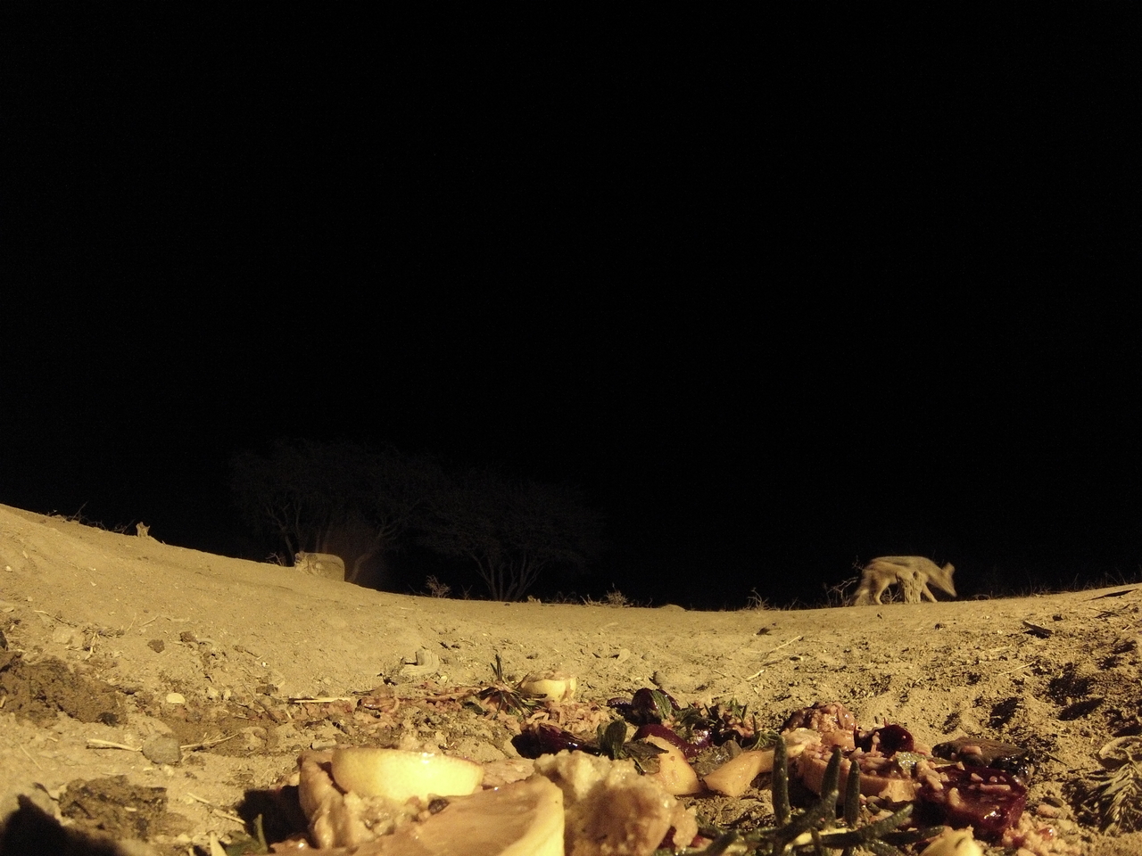 [4024] 2016_06_22_20_50_19_Africa_Hero3-Silver_Edition_IMG__00121.jpg