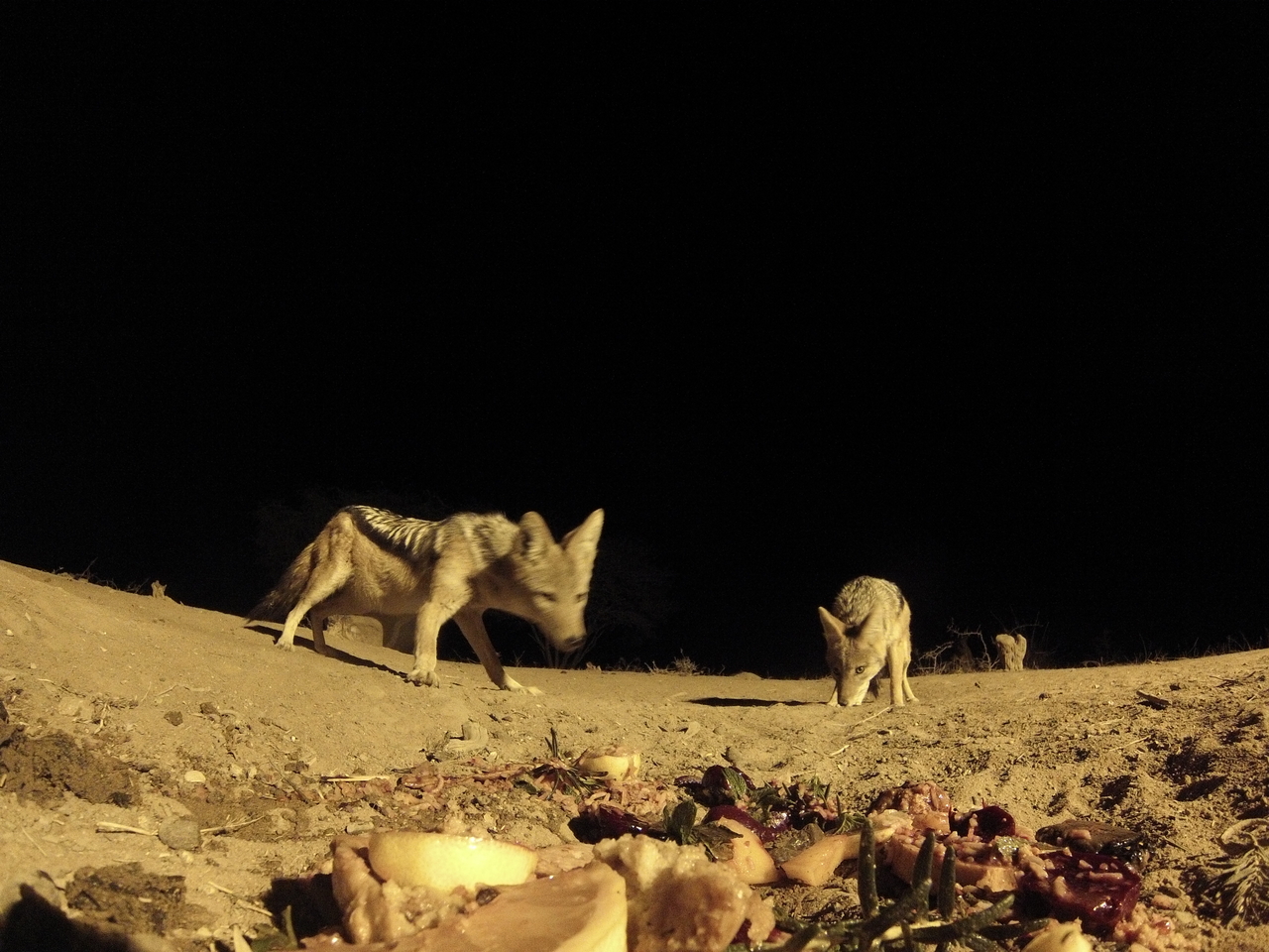 [4038] 2016_06_22_20_50_41_Africa_Hero3-Silver_Edition_IMG__00128.jpg