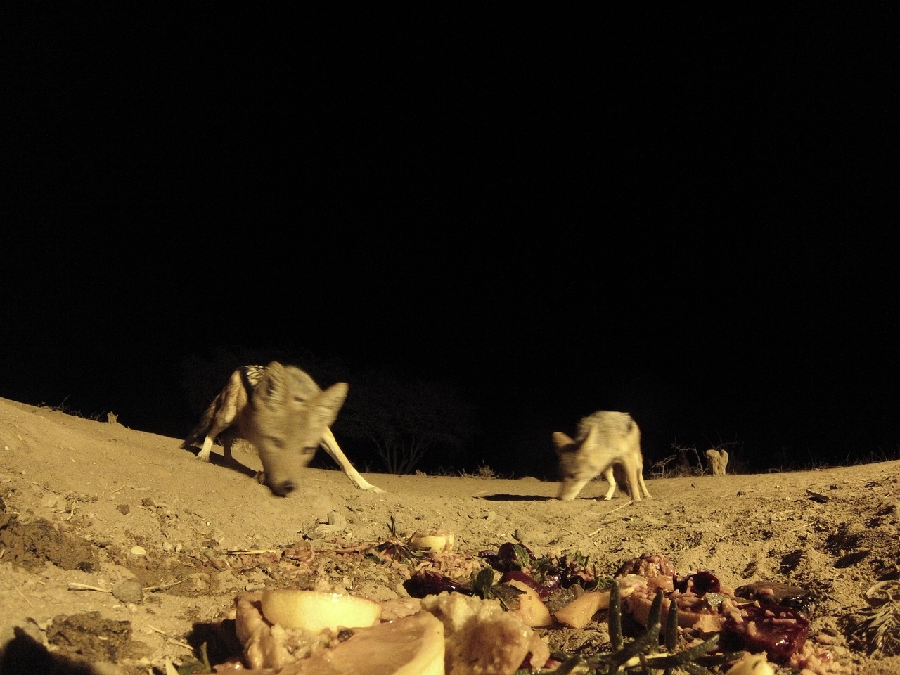 [4040] 2016_06_22_20_50_43_Africa_Hero3-Silver_Edition_IMG__00129.jpg