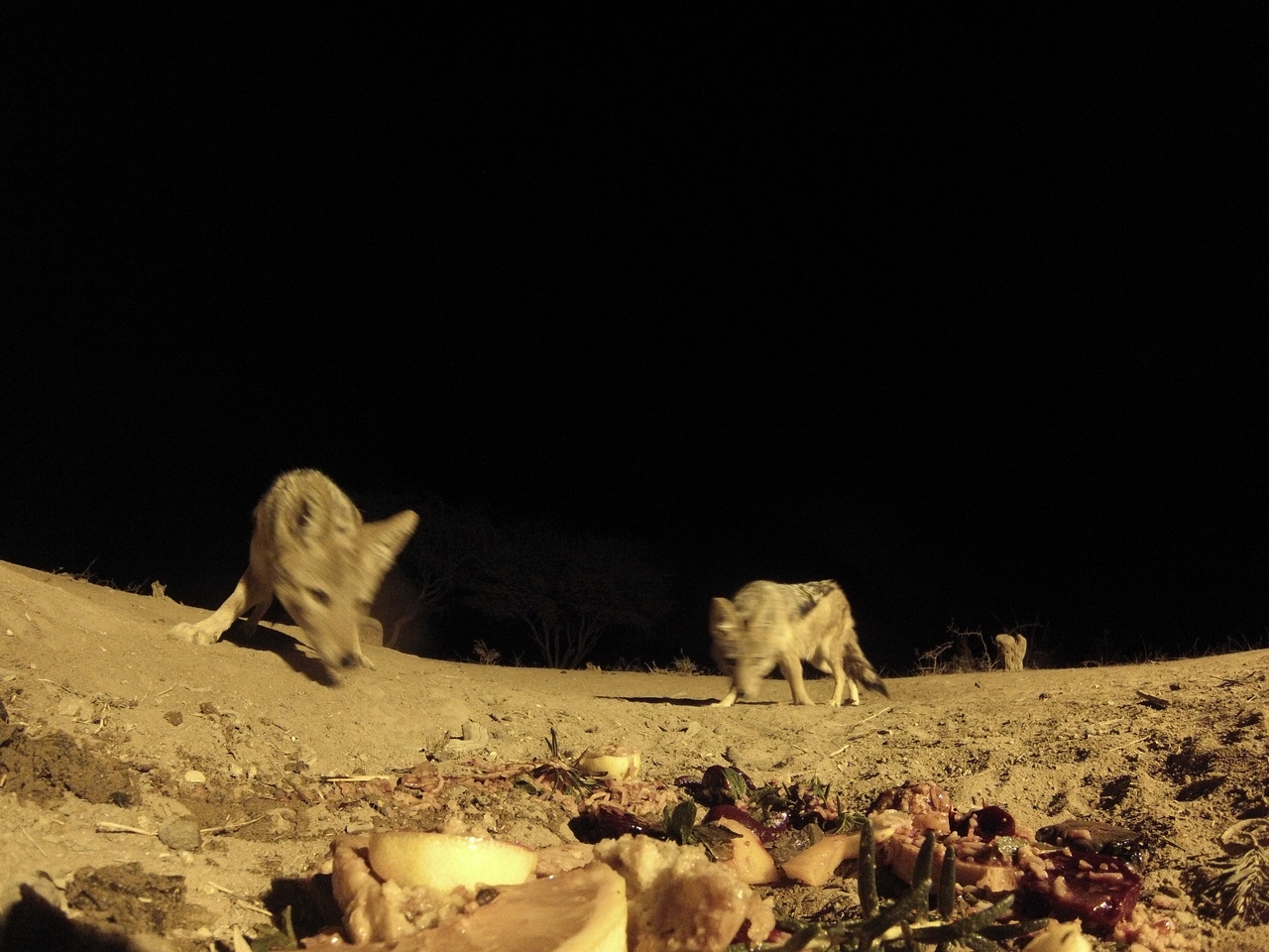 [4043] 2016_06_22_20_50_47_Africa_Hero3-Silver_Edition_IMG__00578.jpg