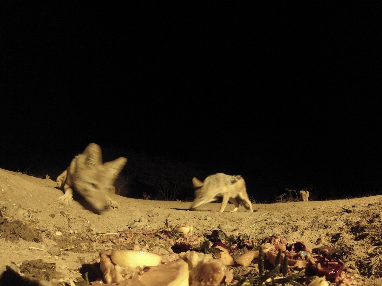 [4044] 2016_06_22_20_50_49_Africa_Hero3-Silver_Edition_IMG__00131.jpg