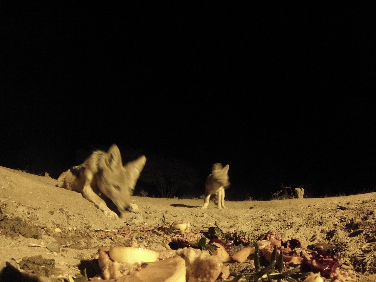 [4047] 2016_06_22_20_50_51_Africa_Hero3-Silver_Edition_IMG__00580.jpg