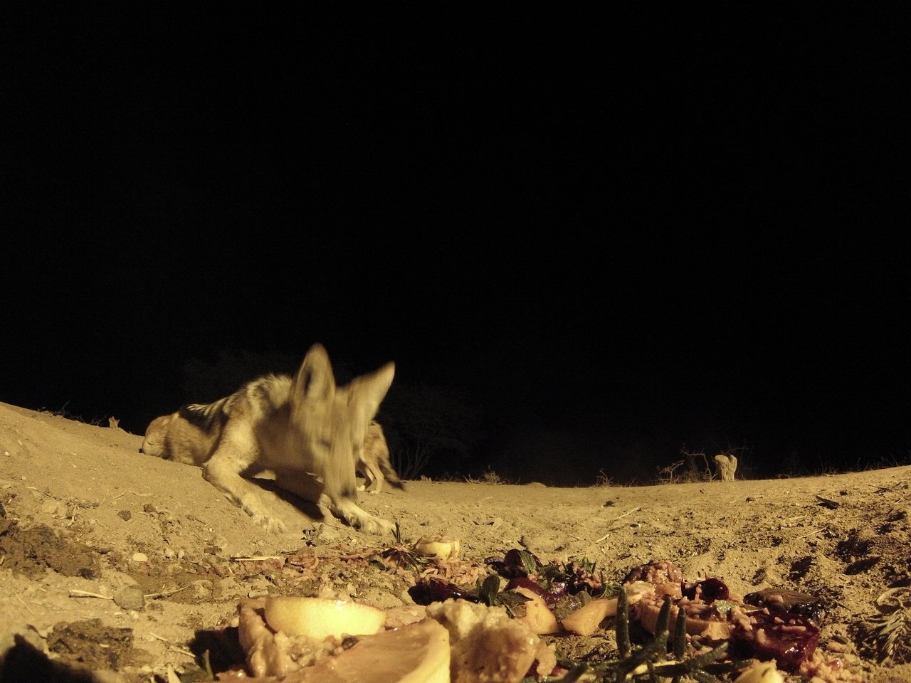 [4048] 2016_06_22_20_50_55_Africa_Hero3-Silver_Edition_IMG__00133.jpg