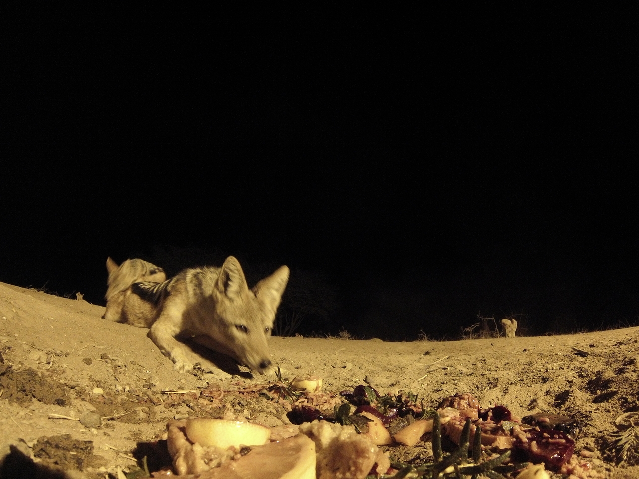 [4053] 2016_06_22_20_50_59_Africa_Hero3-Silver_Edition_IMG__00583.jpg