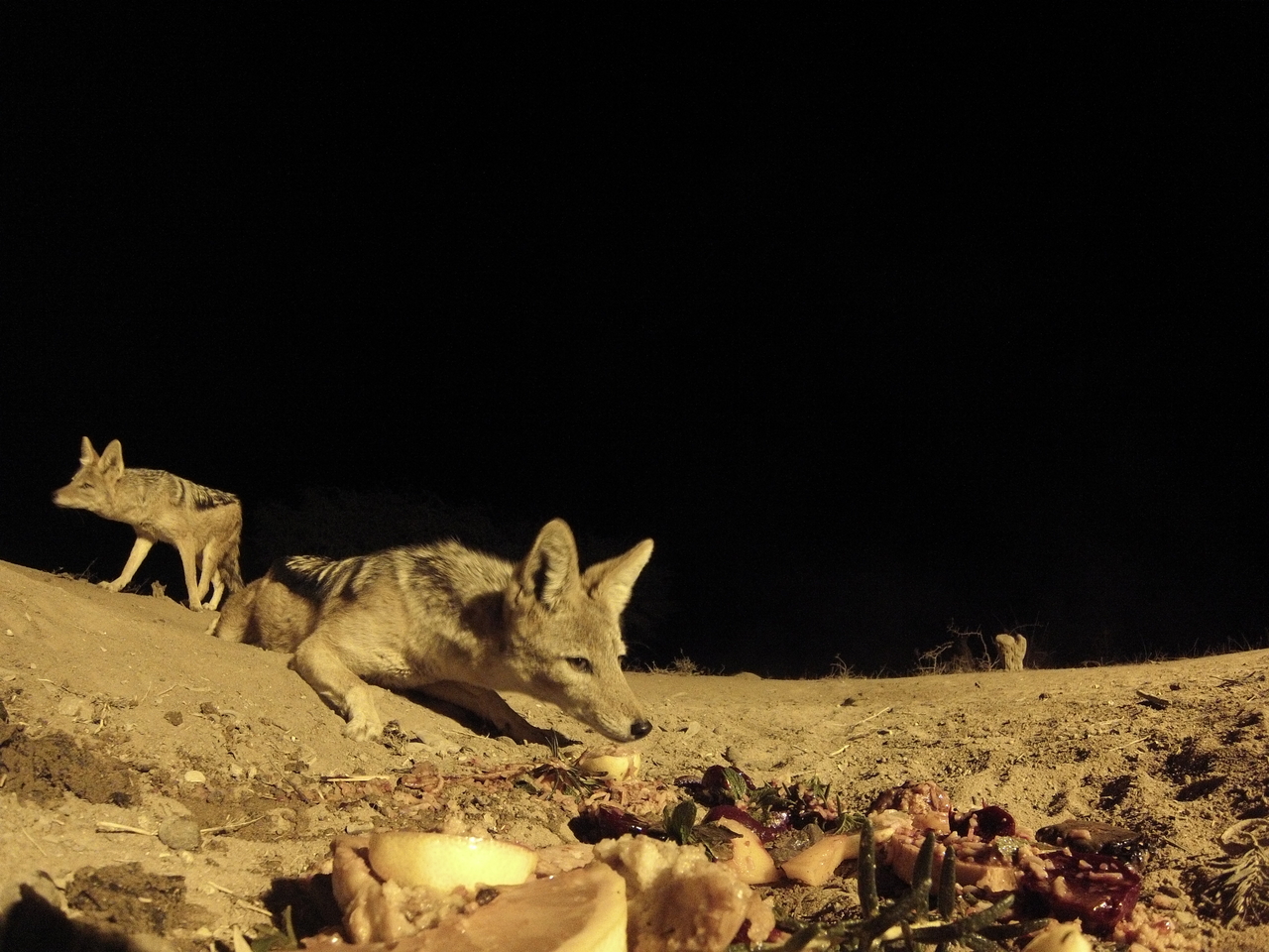 [4055] 2016_06_22_20_51_03_Africa_Hero3-Silver_Edition_IMG__00584.jpg