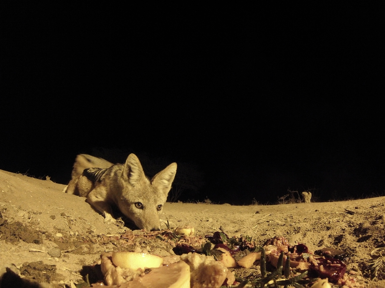 [4057] 2016_06_22_20_51_05_Africa_Hero3-Silver_Edition_IMG__00585.jpg