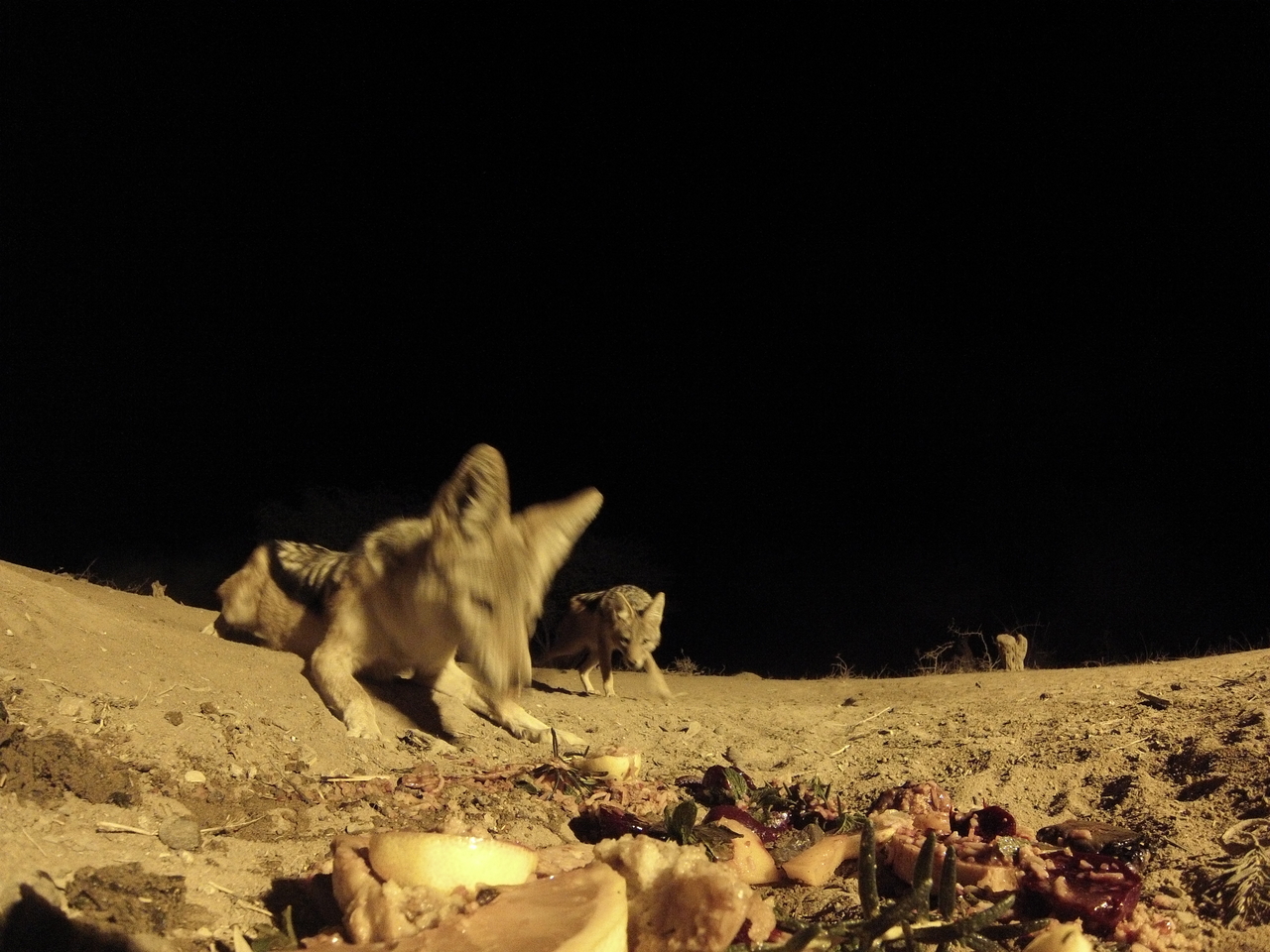 [4059] 2016_06_22_20_51_07_Africa_Hero3-Silver_Edition_IMG__00586.jpg