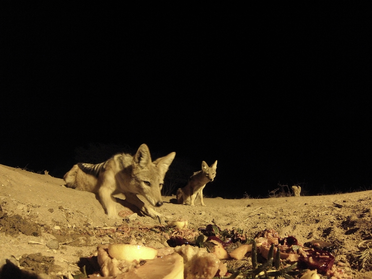 [4068] 2016_06_22_20_51_19_Africa_Hero3-Silver_Edition_IMG__00142.jpg